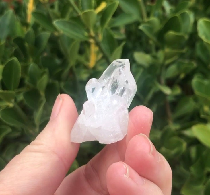 Natural Mini Clear Quartz Druzy Crystal Healing Stone for Energy Amplification and Immune System Support - Crystals for everyone • Crystals And Cord
