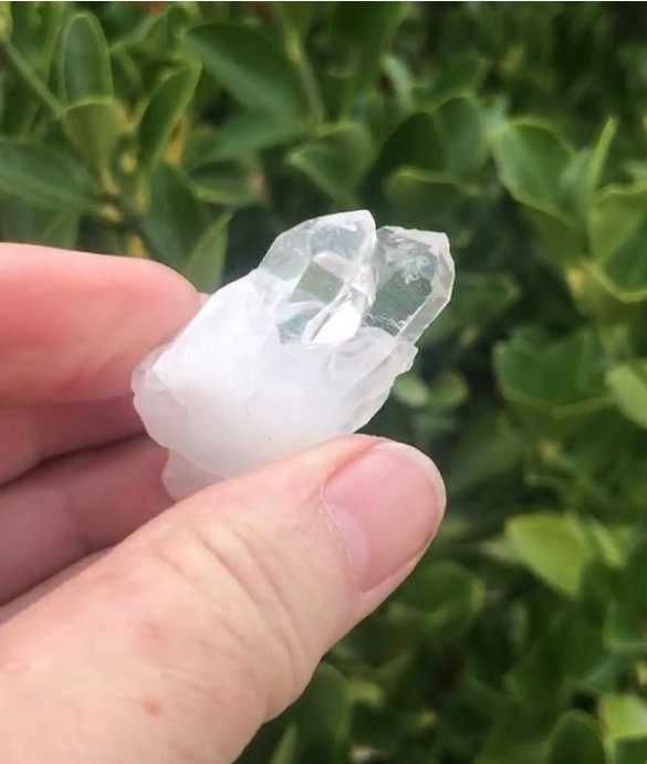 Natural Mini Clear Quartz Druzy Crystal Healing Stone for Energy Amplification and Immune System Support - Crystals for everyone • Crystals And Cord