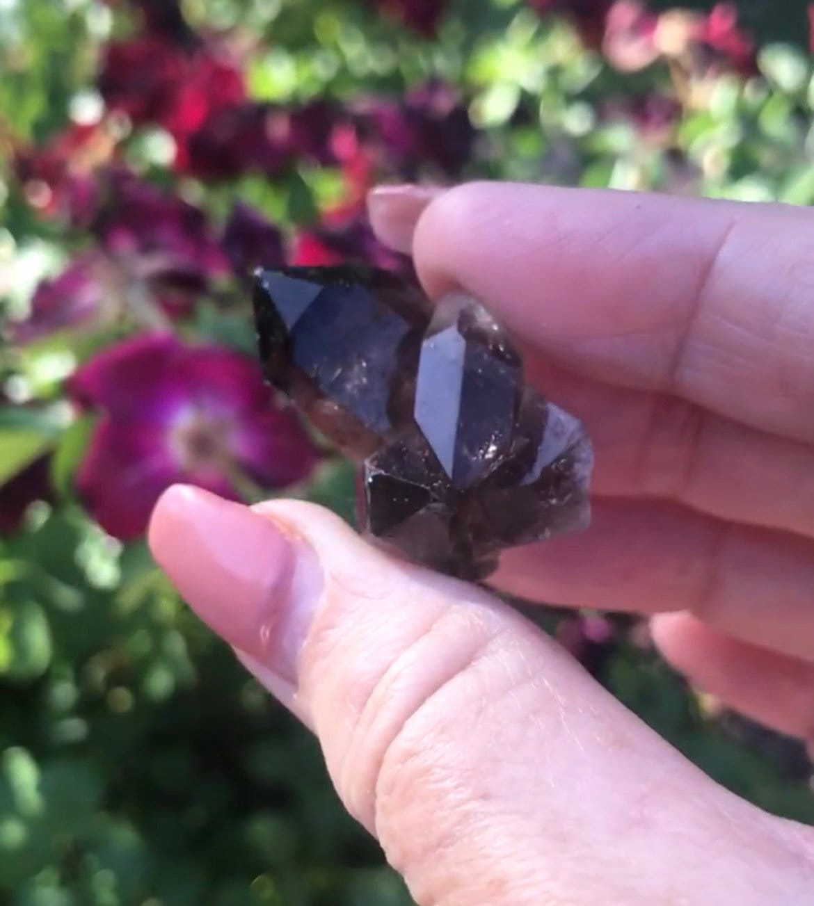Mini Smoky Quartz Cluster Druzy, Natural Crystal Specimen, Healing Stone Decor, Meditation Altar Display, Spiritual Energy Accent Piece - Crystals for everyone • Crystals And Cord