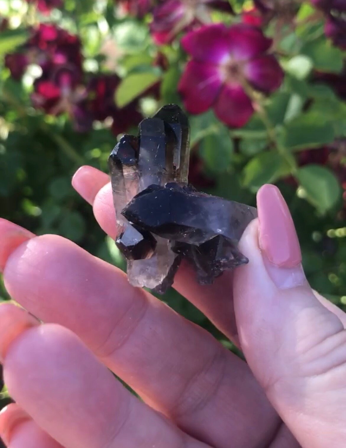 Mini Smoky Quartz Cluster Druzy, Natural Crystal Specimen, Healing Stone Decor, Meditation Altar Display, Spiritual Energy Accent Piece - Crystals for everyone • Crystals And Cord