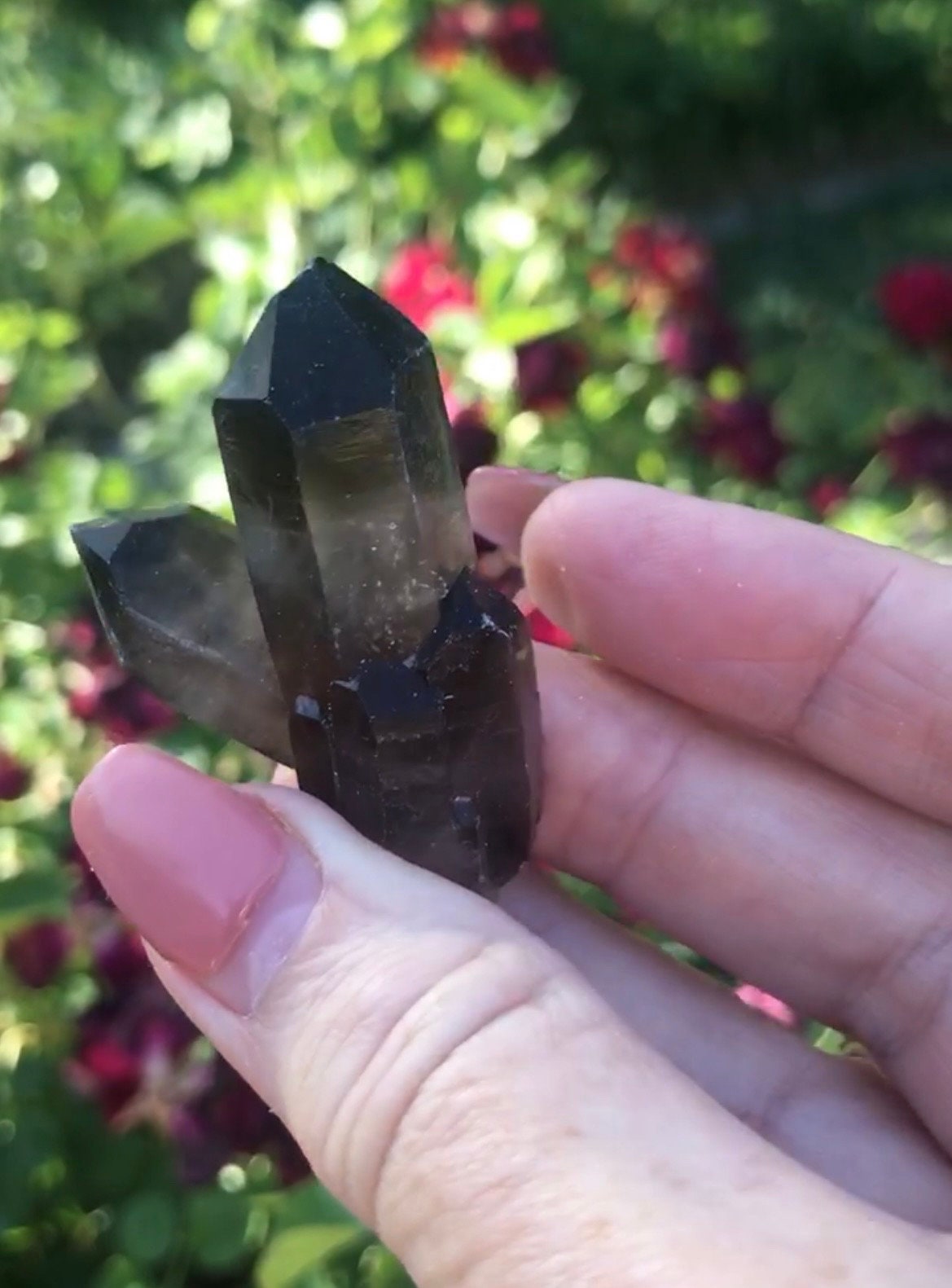 Mini Smoky Quartz Cluster Druzy, Natural Crystal Specimen, Healing Stone Decor, Meditation Altar Display, Spiritual Energy Accent Piece - Crystals for everyone • Crystals And Cord