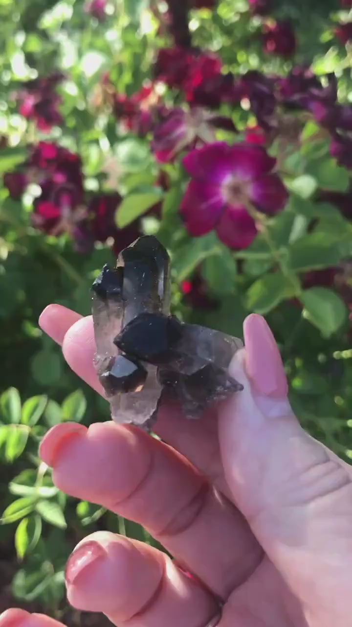 Mini Smoky Quartz Cluster Druzy, Natural Crystal Specimen, Healing Stone Decor, Meditation Altar Display, Spiritual Energy Accent Piece